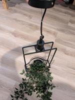 Deckenlampe mit Pflanztopf Bonn - Nordstadt  Vorschau
