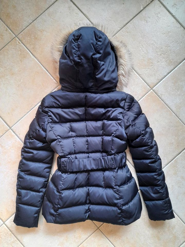 HALLHUBER DAUNENJACKE Gr. 38 dunkelblau Winterjacke in Preetz