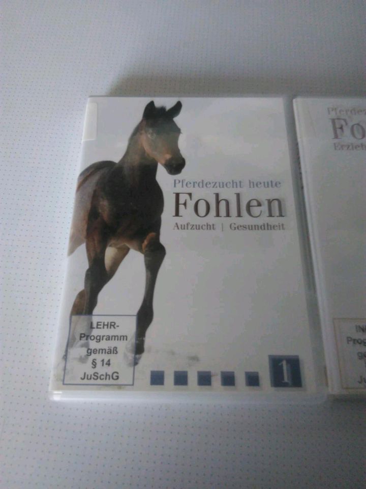 Fohlen Aufzucht 2 DVD Pferd Reiten in Hanstedt