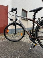 Raleigh Mendocino Fahrrad / 28“ Alu / Nabendynamo / StVO / 17 kg Hessen - Idstein Vorschau