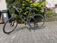 Damenfahrrad 28 Zoll Wiesbaden - Delkenheim Vorschau