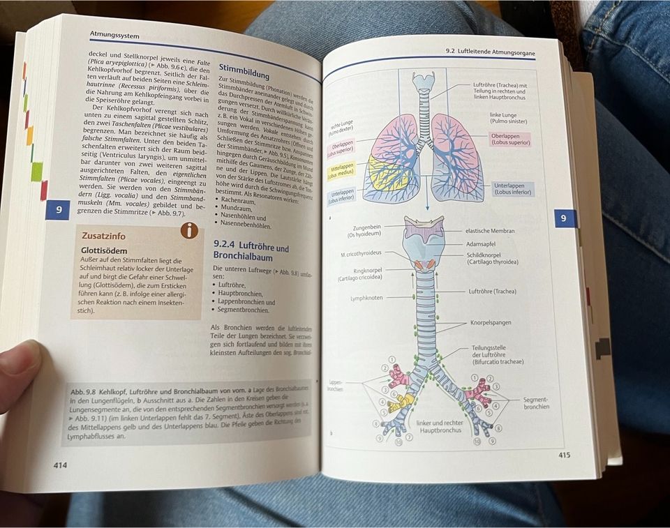 Der Körper des Menschen -Lehrbuch in Minderlittgen