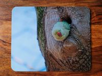 Mousepad Motiv "Halsbandsittich" ©TGabrielArt Berlin - Friedenau Vorschau