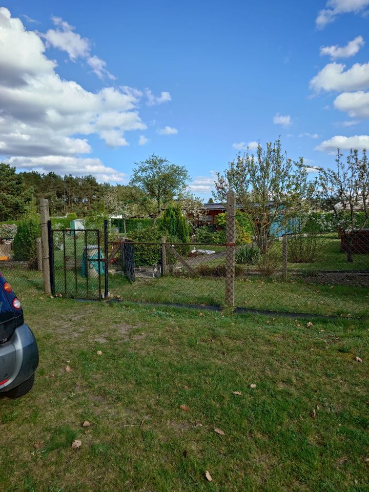 Garten/ Grundstück abzugeben in Mönkebude