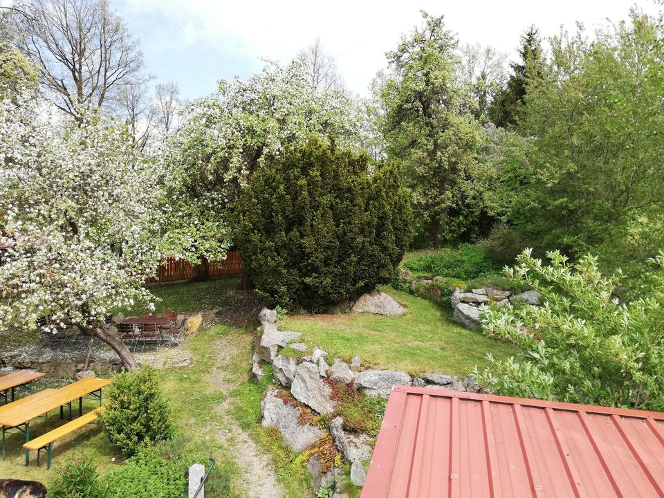 Bauernhaus mit Zoigl-Gaststätte, Biergarten und Braurecht in Falkenberg Oberpf