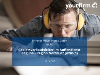 Gebietsverkaufsleiter im Außendienst Laguna - Region Nord/Ost ( Berlin - Mitte Vorschau