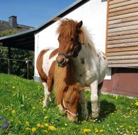Bio Mist, Ponymist, Pferdeäpfel Thüringen - Langenwetzendorf Vorschau
