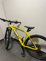 Stevens Sentiero Mountainbike MTB 20 Zoll Kr. München - Höhenkirchen-Siegertsbrunn Vorschau