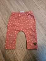 Babyleggings Hose Topomini Gr.74 Niedersachsen - Lilienthal Vorschau