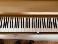 Klaviatur für Casio-Piano AP-60 88 Tasten Bayern - Memmelsdorf Vorschau