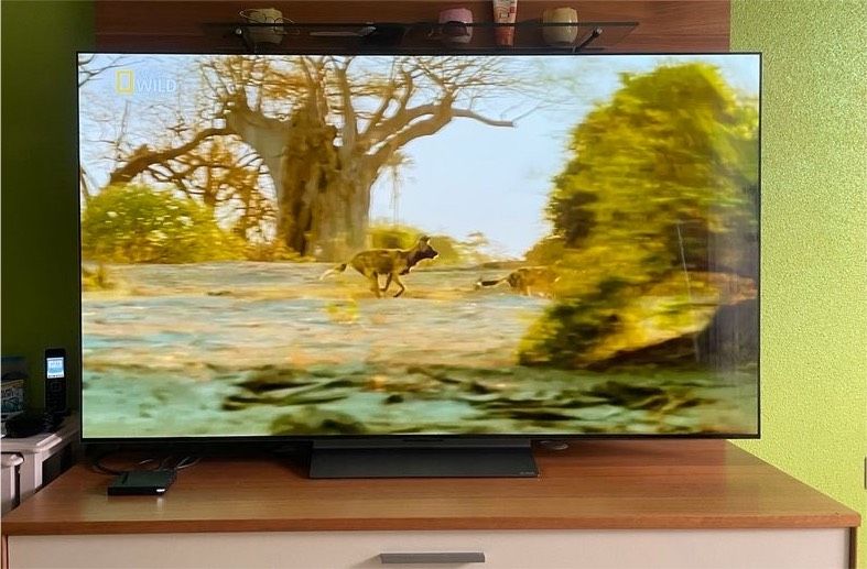 LG OLED evo 65 C39LC in Freystadt