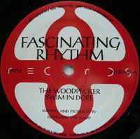 ⭐️1994 Techno 12“⭐️Plus8040 - Fascinating Rhythm - The Woodpecker Bayern - Graben (Lechfeld) Vorschau