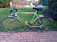 Sportliches Herrenfahrrad 28 Zoll Albuch / Kotter Baden-Württemberg - Mannheim Vorschau