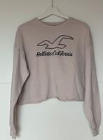 Hollister Pullover Hessen - Fulda Vorschau