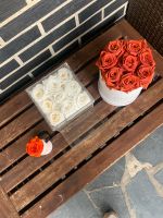Set Grace flower Box konservierte Rosen infinity Deko Hessen - Allendorf Vorschau