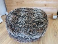 Designed by Lotte Katzenkissen Hundekissen Katzenpouf Bodenkissen Neustadt - Alte Neustadt Vorschau