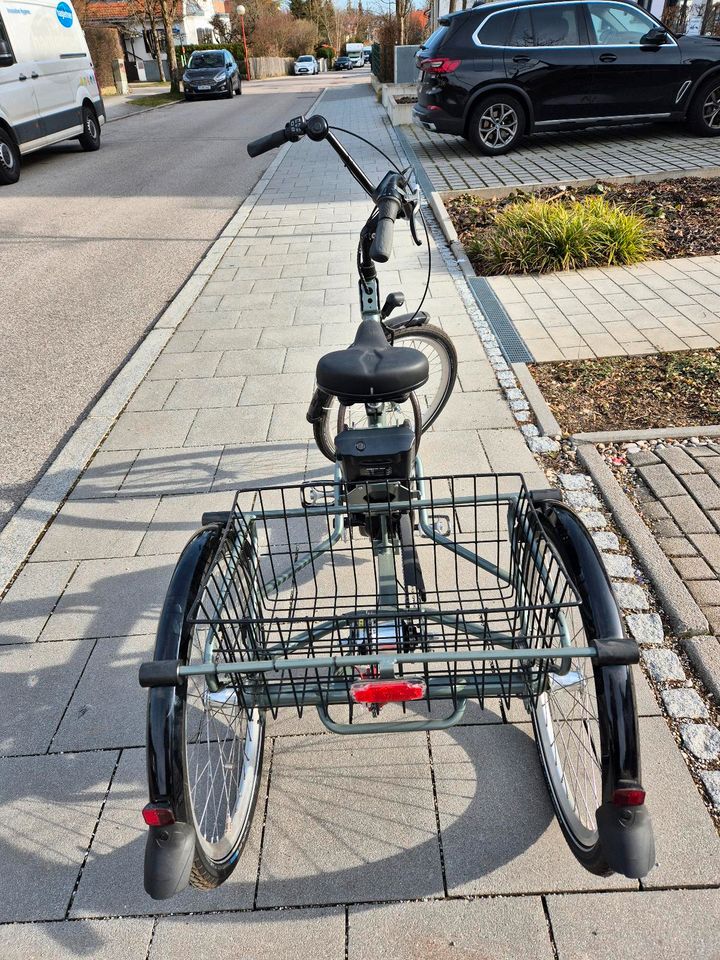 E Bike Dreirad von Pfautec  Torino●neuwertig● in Deisenhofen