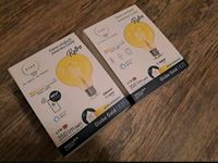 Lampe Smart Home Licht Glühbirne Alexa Wlan Tint Dresden - Lockwitz Vorschau