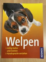 Welpen richtig halten und erziehen Hunde Buch - neu Baden-Württemberg - Mahlberg Vorschau
