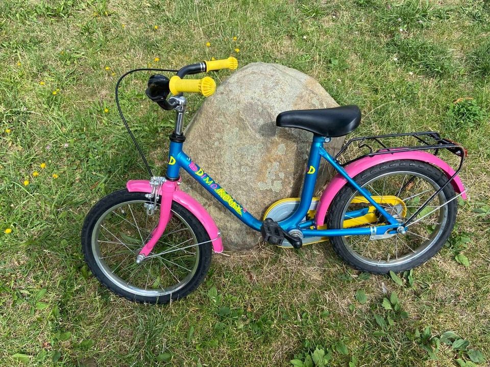 DIMO ROCKY Kinderfahrrad 16" Zoll RH 31 cm Schutzbleche Klingel in Dresden