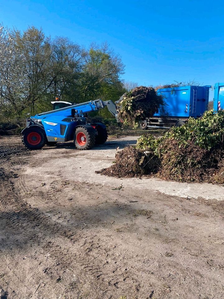 Entsorgung Gartenabfälle Container für Gestrüpp, Grünschnitt, in Reinfeld