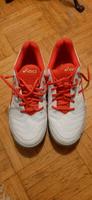 Asics Sportschuhe Gr. 41.5 Hessen - Gießen Vorschau