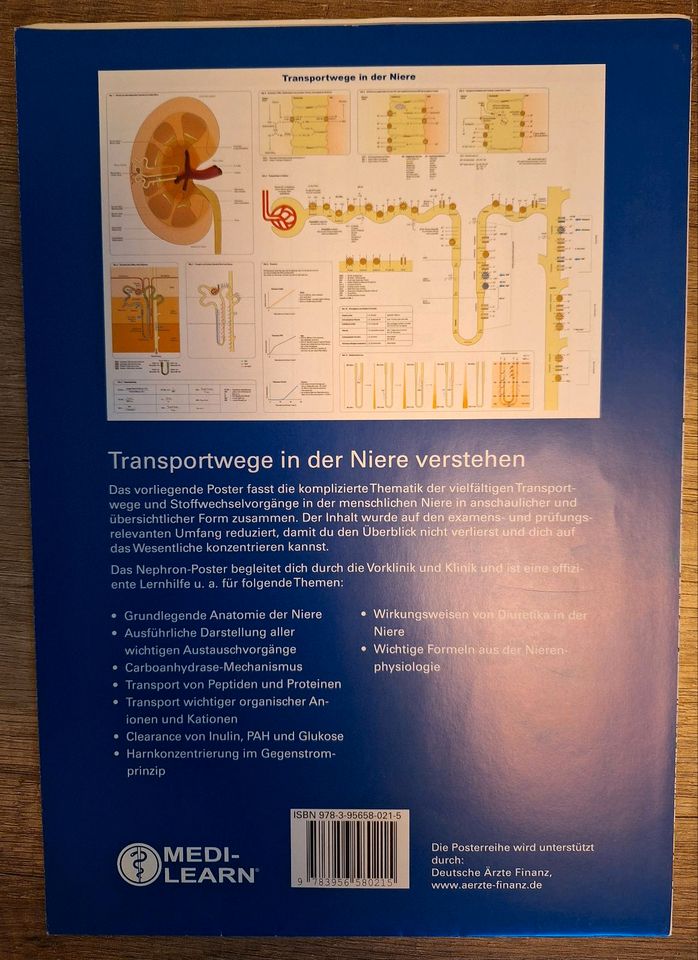 Poster Nephron (MEDI-LEARN) - nur Selbstabholung in Kiel