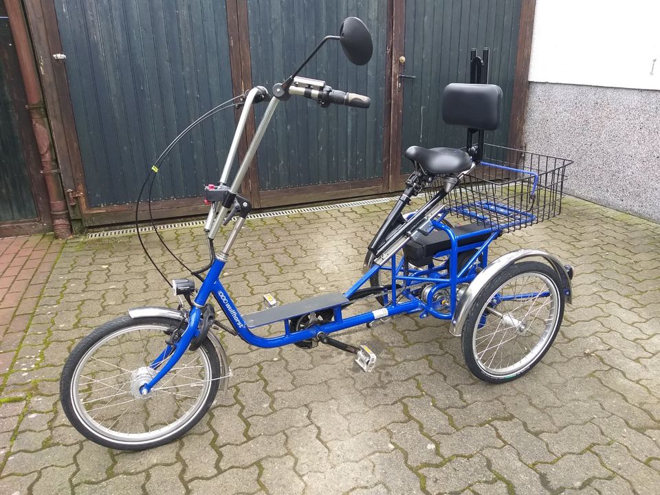 Dreirad Erwachsene Elektro E-Bike Wulfhorst Lucky S 20'' in Gleichen