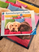 Ravensburger Premium Puzzle 1000 Teile Hunde Welpen. Versand Frankfurt am Main - Bergen-Enkheim Vorschau