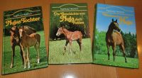 3x Pferde Buch Wiedersehen mit Nuja dem Fohlen Nujas Tochter Baden-Württemberg - Dettingen an der Iller Vorschau