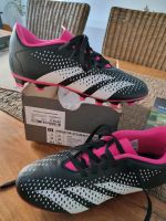 Fussballschuhe Predator gr  35 Nordrhein-Westfalen - Lippstadt Vorschau