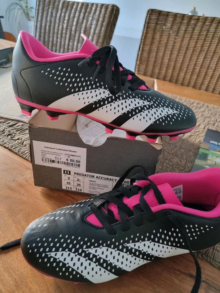 Fussballschuhe Predator gr  35 in Lippstadt