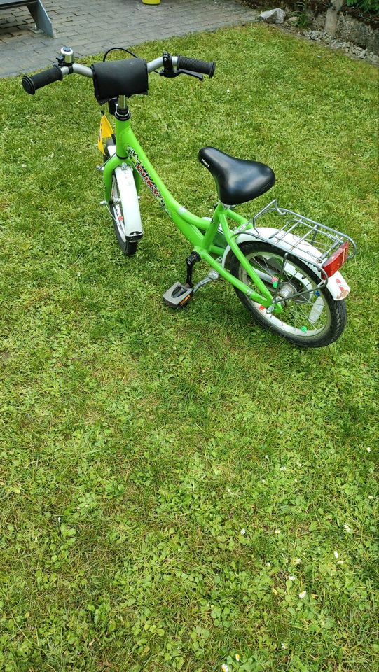 Fahrrad für Kleinkinder von Puky in Springe