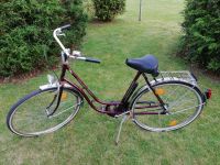 Damen Fahrrad Damenrad Holsatia Model Touring 28 Zoll Nordfriesland - Joldelund Vorschau