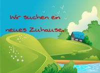 4 Herzen suchen Haus oder Wohnung mit Garten Wuppertal - Oberbarmen Vorschau