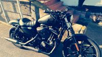 Harley Davidson Iron 883 Hessen - Edertal Vorschau