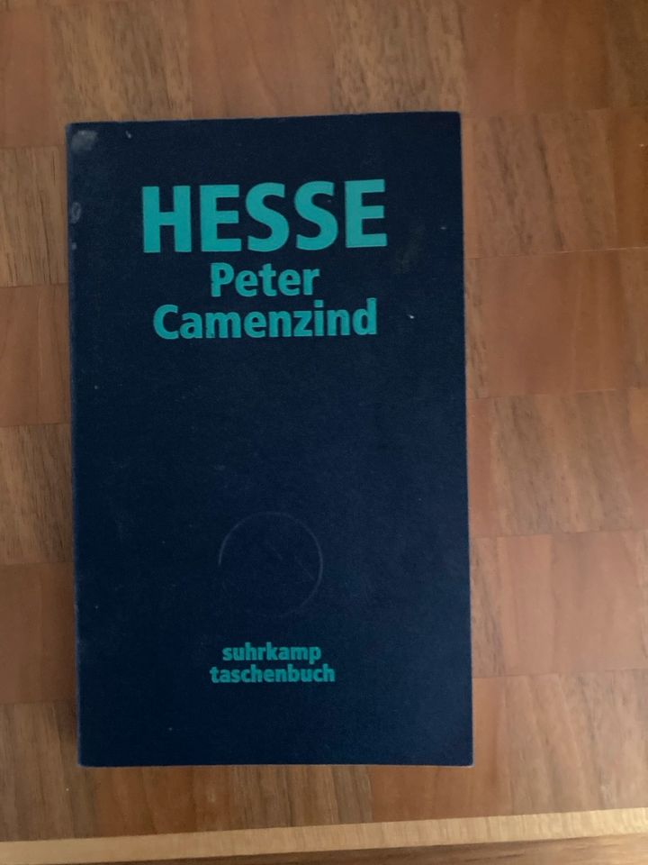 Hermann Hesse / Peter Camenzind in Aachen
