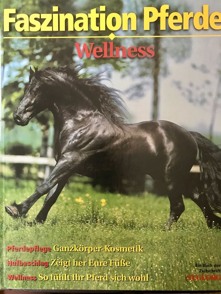 Faszination Pferde Wellness Pferdebuch Pflege Haltung Psyche in Heidenau