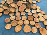 140 kleine Holzscheiben Astscheiben Baumscheiben Bastelholz Nordrhein-Westfalen - Detmold Vorschau