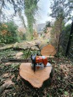 Sturmschaden Baumfäller Wurzelentfernung Baum Garten Unwetter Nordrhein-Westfalen - Mülheim (Ruhr) Vorschau