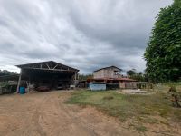 Brasilien: Amazonas Früchtefarm - LAk-BR-003 München - Maxvorstadt Vorschau