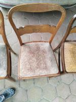 3 Stühle, schöne alte Holzstühle Niedersachsen - Wenzendorf Vorschau