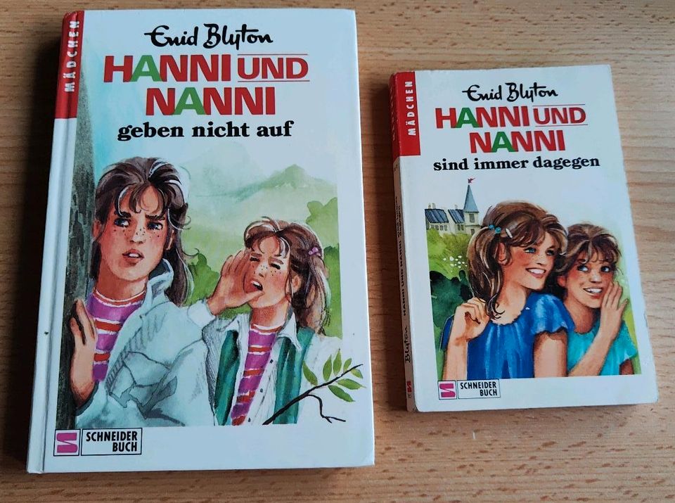 Hanni und Nanni von Enid Blyton in Großolbersdorf