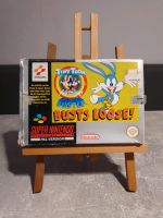 Tiny Toon Adventures: Buster Busts Loose! (Nintendo SNES) - PAL - Köln - Bickendorf Vorschau