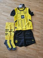 Puma BVB Borussia Dortmund Minikit Trikot Hose 2025 Gr. 116 Bayern - Ensdorf Vorschau