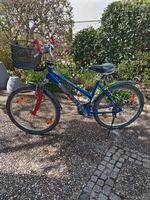 Rixe Trekkingrad 26 Zoll Citybike Cityrad Damenrad  Fahrrad Baden-Württemberg - Rielasingen-Worblingen Vorschau