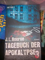 Tagebuch der Apokalypse 3 Nordrhein-Westfalen - Königswinter Vorschau