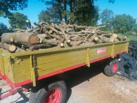 Brennholz kipper Niedersachsen - Aurich Vorschau