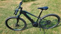 Orbea wild ht 30 emtb ebike 500wh e bike m Hessen - Hohenahr Vorschau