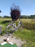 Flyer 28Zoll e-Bike Wuppertal - Elberfeld Vorschau